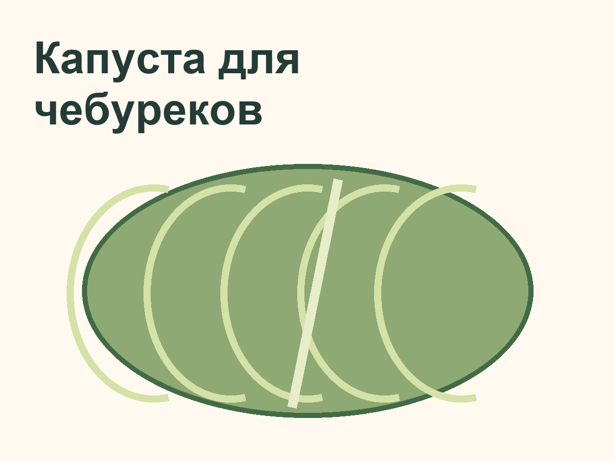 Схема кочана капусты для овощной начинки